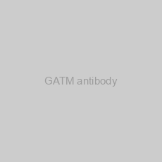 Image of GATM antibody